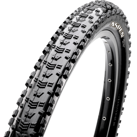 Reifen Aspen 29x2,25 TR, EXO, Dual, 645g