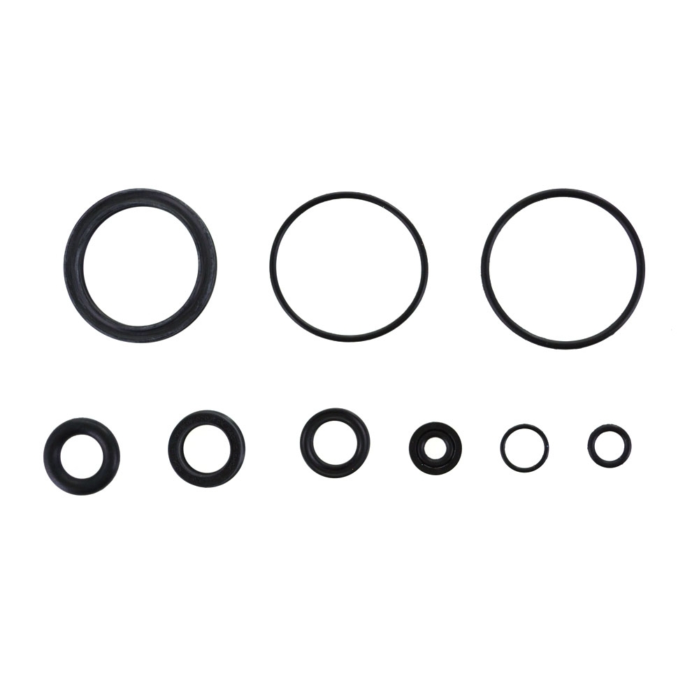 Dichtungen für Luftkammer Float 34 NA2