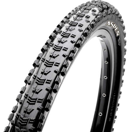 Reifen Aspen 29x2,25 TR, EXO, Dual, 645g